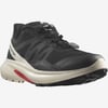 Salomon HYPULSE Erkek Ayakkabısı L41684900