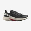 Salomon HYPULSE Erkek Ayakkabısı L41684900