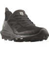 Salomon OUTpulse GTX W Kadın Ayakkabısı L41588300
