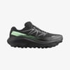 Salomon ULTRA FLOW 2 GTX Erkek Koşu Ayakkabısı L47981400