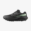 Salomon ULTRA FLOW 2 GTX Erkek Koşu Ayakkabısı L47981400
