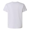 The North Face B LIQUID LOGO REG SS TEE Genç Tişört NF0A8G1WFN41
