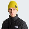 The North Face DOCK WORKER RECYCLED BEANIE Unisex Bere NF0A8HMGNO71