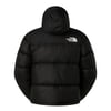 The North Face  Erkek 1996 Retro Nuptse Ceket  Nf0A3C8Dgoe1