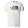 The North Face Erkek  BINER GRAPHIC 1 Tişört NF0A7R4HFN41