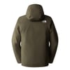The North Face Erkek CARTO 3'IN 1 CEKET NF0A5IWIBQW1