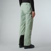The North Face  Erkek Chakal Pantolon Nf0A87Y7Bq11