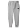 The North Face Erkek  EXPLORATION FLEECE Pantolon  NF0A5G9PHKQ1 Çanta