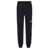 The North Face Erkek NSE Eşofman Pantolon NF0A4SVQJK31
