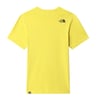 The North Face Erkek  S/S FINE Tişört - EU NF00CEQ57601