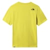 The North Face Erkek  S/S SIMPLE DOME Tişört - EU NF0A2TX57601