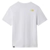 The North Face Erkek  S/S Tişört GRAPHIC PH 1 - EU NF0A5IG7FN41