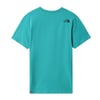 The North Face  Erkek S/S WOODCUT DOME  Tişört  NF00A3G1ZCV1