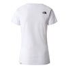 The North Face  Kadın S/S NeverStopExploring Tişört NF00A6PRFN41