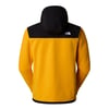 The North Face M ALPINE POLARTEC 200 F/Z HOODED Erkek Tam Fermuar Polar NF0A7UJ7ZU31