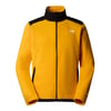 The North Face M ALPINE POLARTEC 200 FZ Erkek Tam Fermuar Polar NF0A7WWLZU31