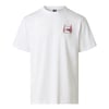 The North Face M CAMPING RELAXED SHORT SLEEVE TEE-GRAPH Erkek Tişört NF0A8GQMFN41