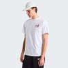 The North Face M CAMPING RELAXED SHORT SLEEVE TEE-GRAPH Erkek Tişört NF0A8GQMFN41