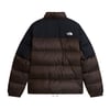 The North Face M DIABLO DOWN 2.0 JACKET Erkek Ceket NF0A8993UQ81