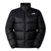 The North Face M DIABLO DOWN 2.0 JACKET Erkek Ceket NF0A8993GOC1