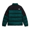The North Face M DIABLO DOWN 2.0 JACKET Erkek Ceket NF0A8993UY61