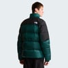 The North Face M DIABLO DOWN 2.0 JACKET Erkek Ceket NF0A8993UY61