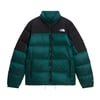 The North Face M DIABLO DOWN 2.0 JACKET Erkek Ceket NF0A8993UY61