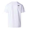 The North Face M EVOLUTION BOX HALF DOME REGULAR SHORT Erkek Tişört NF0A8G9CFN41