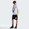 The North Face M EVOLUTION BOX HALF DOME REGULAR SHORT Erkek Tişört NF0A8G9CFN41