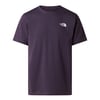The North Face M EVOLUTION BOX NSE REGULAR SHORT SLEEVE Erkek Tişört NF0A8B6KG5O1
