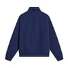 The North Face M EVOLUTION SIMPLE DOME REGULAR 1/4 ZIP Erkek Sweatshirt NF0A8ET48K21
