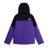The North Face M FREEDOM INSULATED JACKET Erkek Ceket NF0A8H2DS961