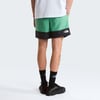 The North Face M LEYNAR SHORT Erkek Sportif Şort NF0A8FU8MOA1