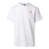 The North Face M MA GRAPHIC REGULAR SHORT SLEEVE TEE-GR Erkek Tişört NF0A8GA4FN41