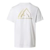 The North Face M MA GRAPHIC REGULAR SHORT SLEEVE TEE-GR Erkek Tişört NF0A8GA4FN41