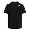 The North Face M NSE REG SS TEE-GRAPHIC Erkek Tişört NF0A8GUVJK31