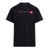 The North Face M NSE REG SS TEE-GRAPHIC Erkek Tişört NF0A8GUVJK31