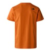 The North Face M S/S NEVER STOP EXPLORING TEE Erkek T-Shirt NF0A87NSPCO1