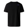 The North Face M S/S RUST 2 TEE Erkek T-Shirt NF0A87NWJK31