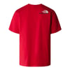 The North Face M TNF EST 1966 S/S TEE Erkek T-Shirt NF0A87E76821