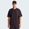 The North Face M TNF Red Box S/S Tee Erkek Tişört NF0A8EG50SA1