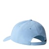 The North Face RECYCLED 66 CLASSIC Şapka NF0A4VSVQEO1