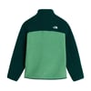 The North Face TEEN YUMIORI 1/4 ZIP JACKET Unisex Genç Çocuk Ceket NF0A8J61JZX1
