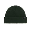 The North Face TNF FISHERMAN BEANIE Unisex Bere NF0A8HMPNLW1