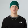 The North Face  Tnf Logo Box Cuffed Bere Nf0A8Chenl11