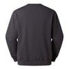 The North Face U ESSENTIAL LIGHT RELAXED CREW Unisex Sweatshirt NF0A8GQCRHI1