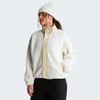 The North Face W CRAGMONT SNAP FRONT FLEECE JACKET Kadın Ceket NF0A8J40JN51
