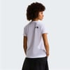 The North Face W EVOLUTION HALF DOME SLIM SHORT SLEEVE Kadın Tişört NF0A8FX6FN41