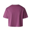 The North Face W EVOLUTION SIMPLE DOME CROP RLX SS TEE Kadın Tişört NF0A8FDHG4Y1