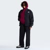 The North Face W EVOLUTION SIMPLE DOME REGULAR HOODIE Kadın Sweatshirt NF0A8CWNMVO1